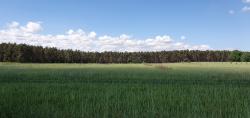 &nbsp;