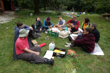 Bild "Vergangene_Treffen:2019_Ernte-2.jpg"